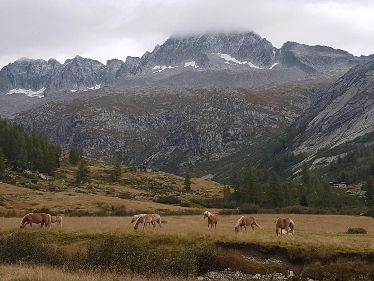 Albergo La Valle Даоне Екстер'єр фото